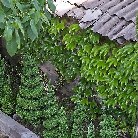 Shushan B&B Jechegnadzor Buitenkant foto