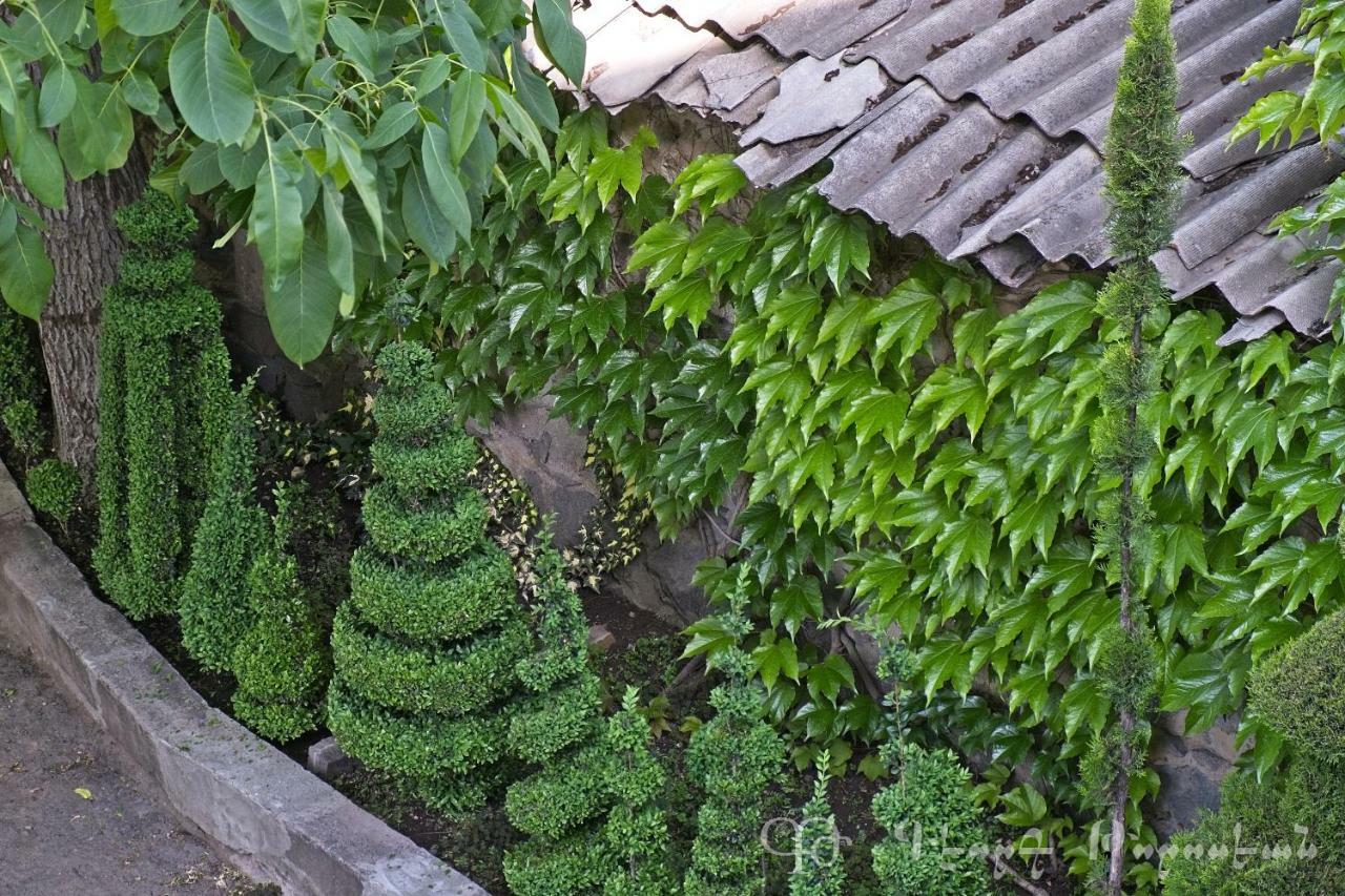 Shushan B&B Jechegnadzor Buitenkant foto